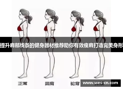 提升肩部线条的健身器材推荐助你有效瘦肩打造完美身形