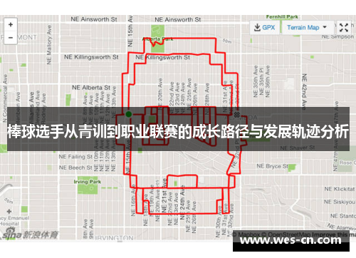 棒球选手从青训到职业联赛的成长路径与发展轨迹分析