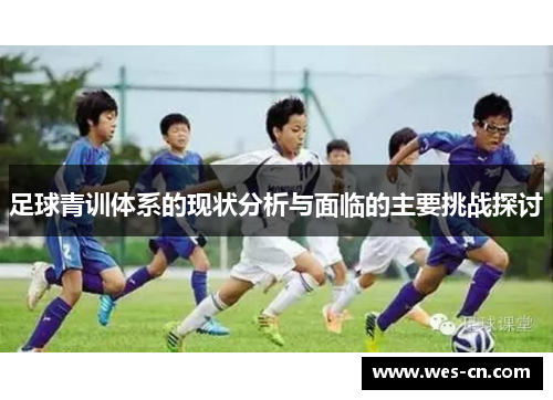 足球青训体系的现状分析与面临的主要挑战探讨