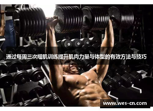 通过每周三次增肌训练提升肌肉力量与体型的有效方法与技巧