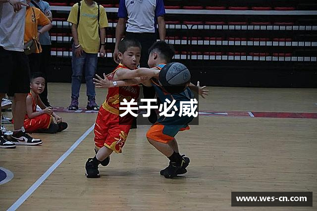 关于必威